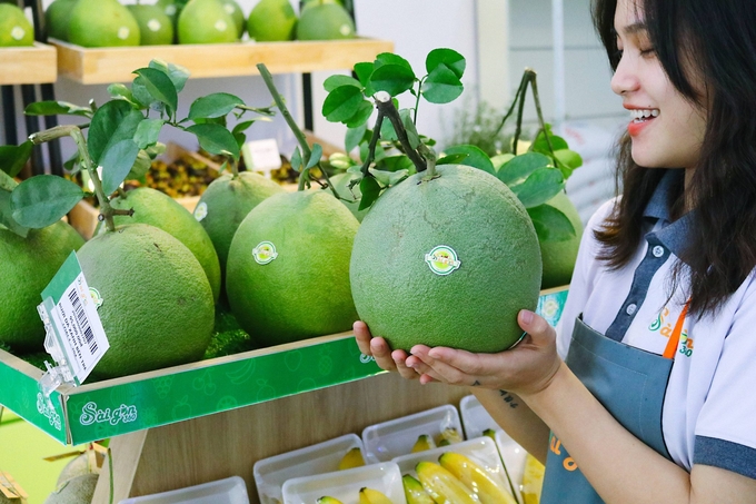 fyfgrnx-2048x1365-161615_243.jpg Vừa qua, dư luận thông tin nhiều chiều về chất lượng cùng sự chênh lệch lớn giá cả sản phẩm bưởi da xanh. Ảnh: TL.